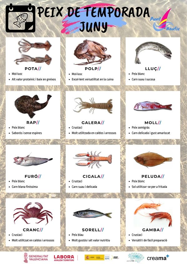 El Punt Nàutic de Creama publica un calendari de peix de temporada de la comarca.
